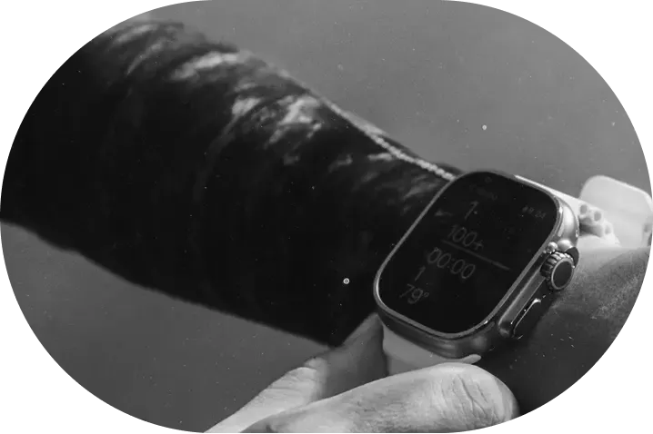 Endcode Elegance and performance