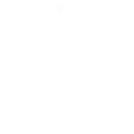 logo NS